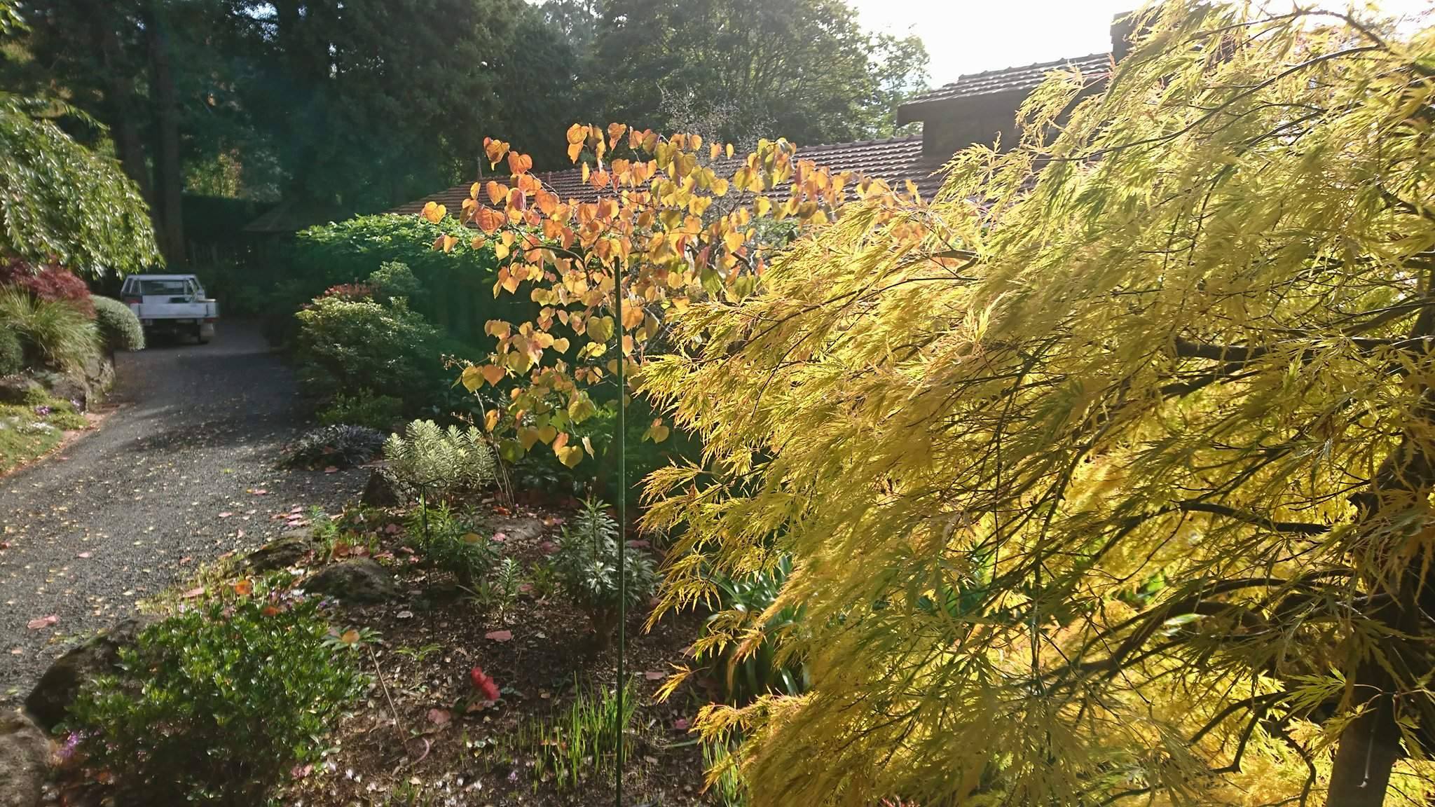 21585858_1496715917033045_1482932844_o